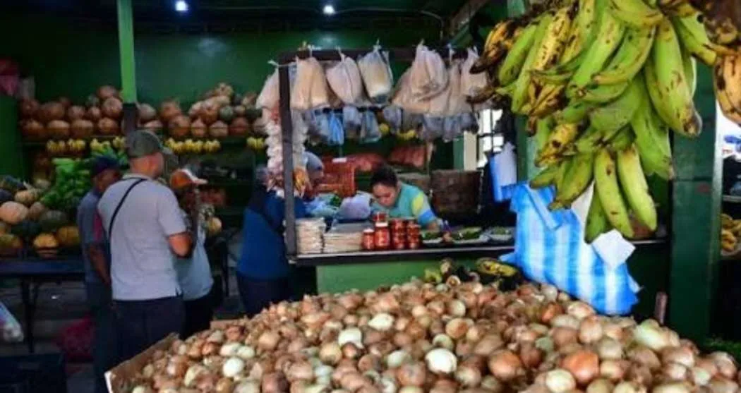 Modernizarán el Mercado Periférico La Candelaria de Valencia