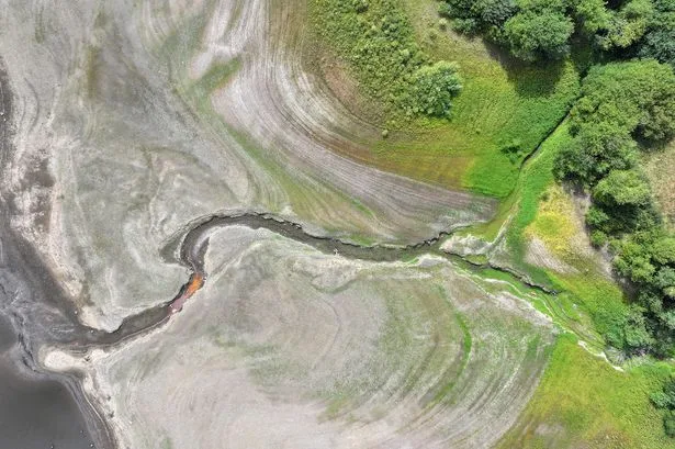 Driest spell in more than 100 years leaves parts of UK in severe drought - what it means for households