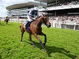 Horseracing in Britain could need private equity treatment, says ALEX BRUMMER