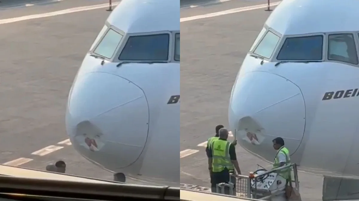 Emirates flight from Delhi to Dubai suffers 'bird strike', delayed