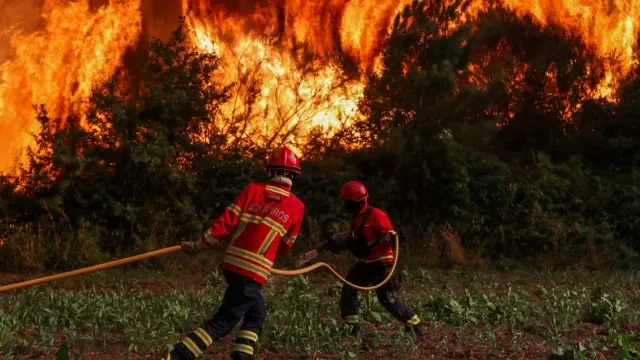Trabalhos agrícolas são principal causa de incêndios em Trás-os-Montes