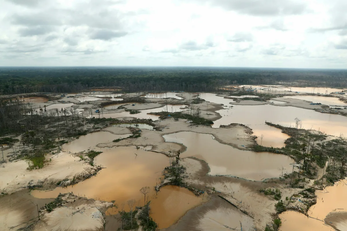 EPI 2026: Perú queda a 46 escalones de Chile en índice ambiental mundial de Yale