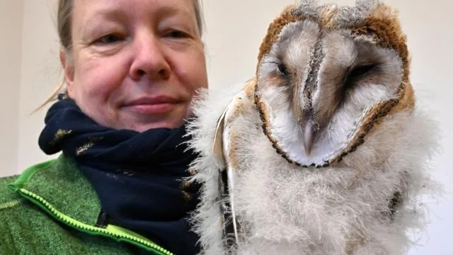 Vogelexpertin: Die Frau, die die Vögel kennt