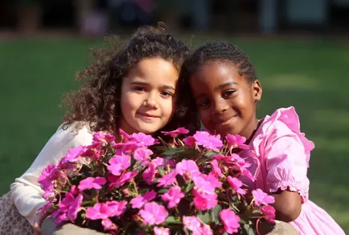 Spring: Blooming beautiful