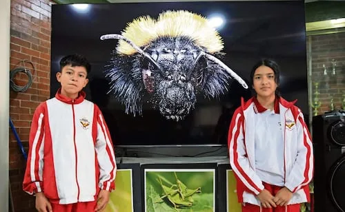 Gracias a insectos, estudiantes viajarán a Indonesia