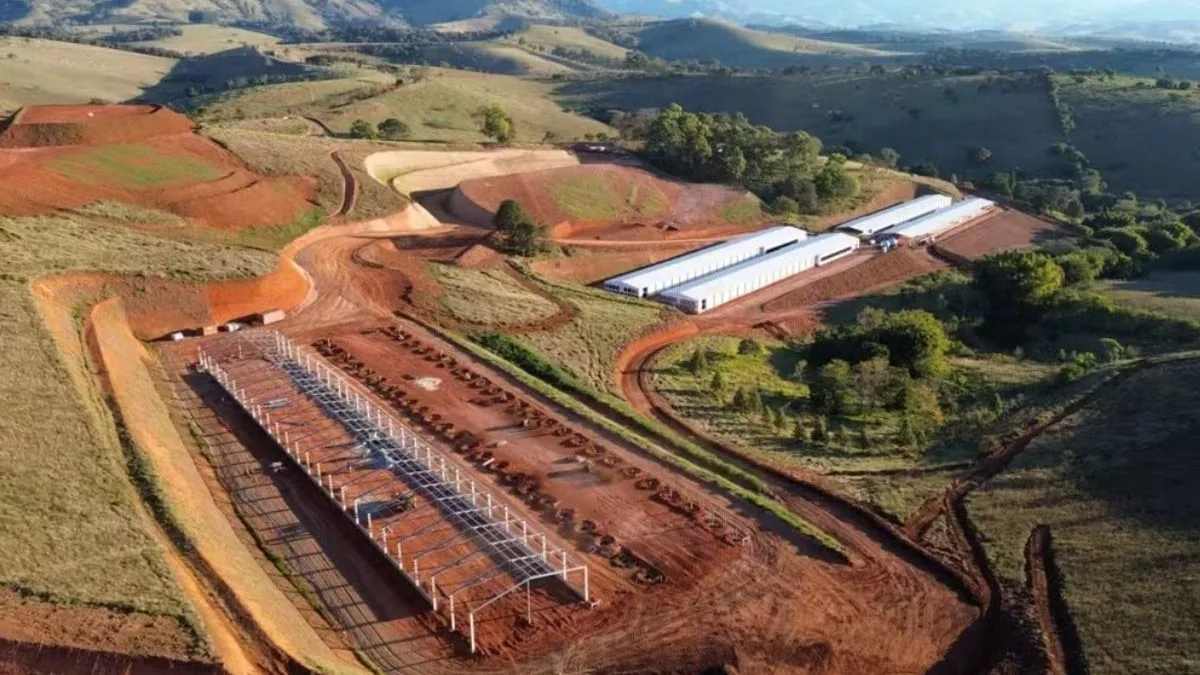 Maior produtora de ovos do Brasil investe R$ 205 milhões, abre 330 empregos e ergue unidade para 3 milhões de aves