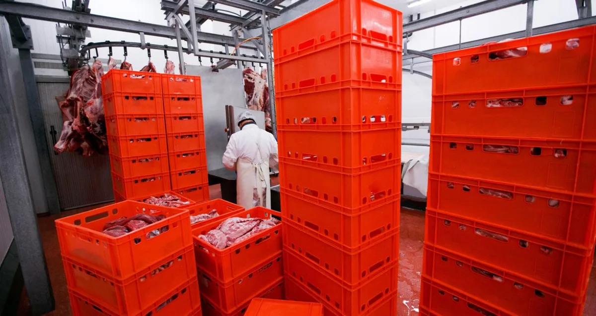 MBRF (MBRF3) espera recuperar caixa no 2º semestre e prevê redução de capex em 2027