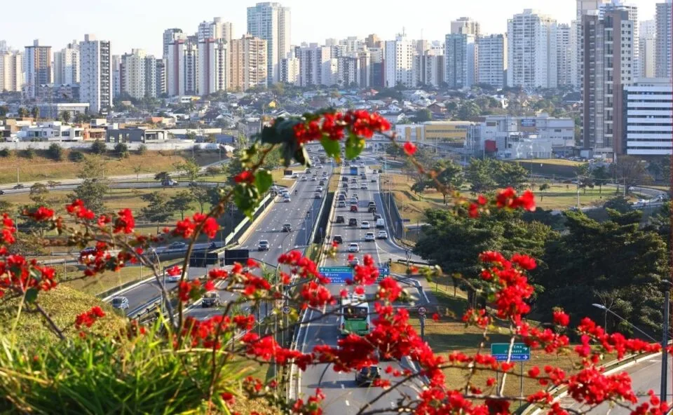 Cidade brasileira é a primeira do mundo a atingir o padrão máximo de melhor qualidade de vida; veja qual