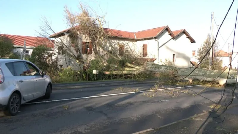 "C'était violent": après l'orage qui a balayé les Landes, les habitants constatent les dégâts