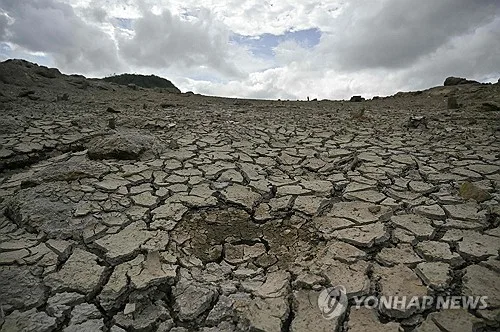 엘니뇨에 말라붙은 중남미…온두라스 주민들 "먹을 게 없다"