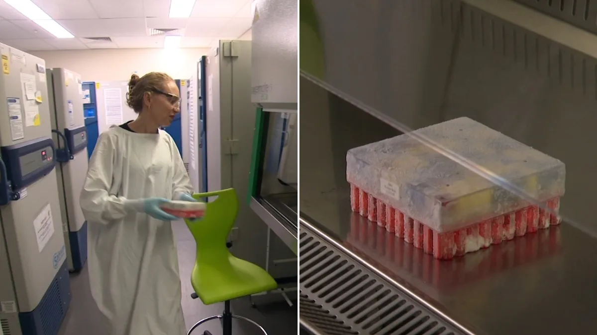 World-first cancer vaccine led by Australian researcher Professor Georgina Long passes major trial