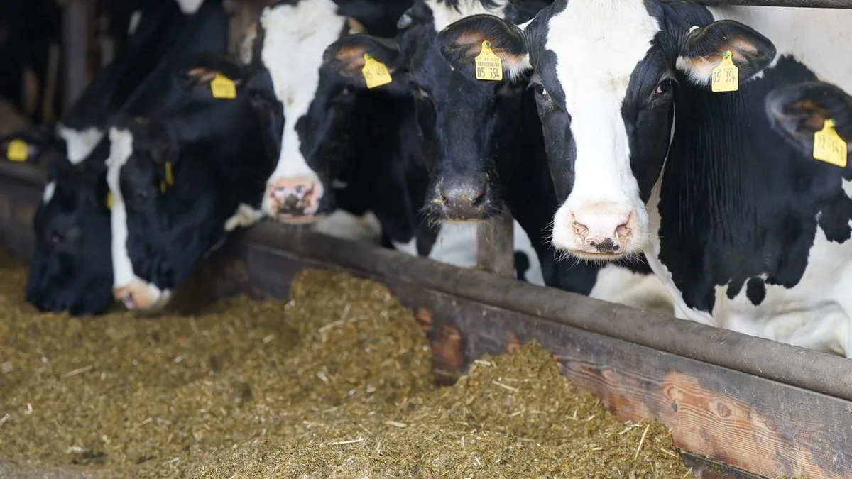 Kabinett: Bayerns Bauern sind nur bedingt auf Krisen vorbereitet