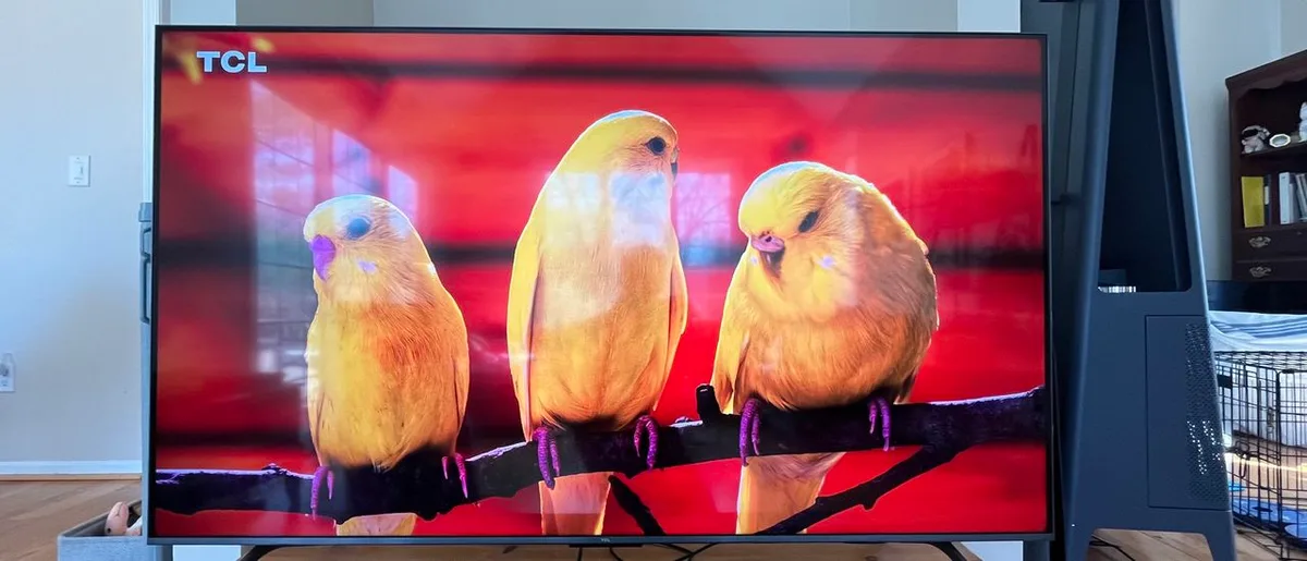 Best Buy just dropped our favorite budget Mini-LED TV to $499 – a brand new record-low price