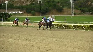 La Rinconada:Lesión de última hora deja a este ejemplar fuera del Clásico Simón Bolívar