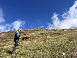 REPORTAGE. « Pas assez d’herbe » : dans les Alpes, des agriculteurs obligés de redescendre les troupeaux plus tôt
