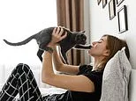 America's pet cats often infected with 'beaver fever' that transmits to humans, scientists warn