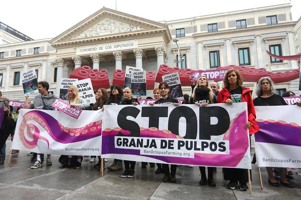A onda de protestos que conseguiu barrar a primeira fazenda de polvos do mundo
