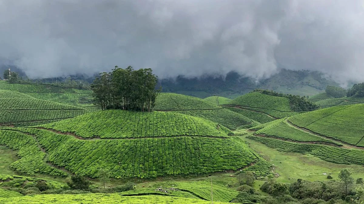 Carrying capacity study of hill stations in Keralam remains incomplete