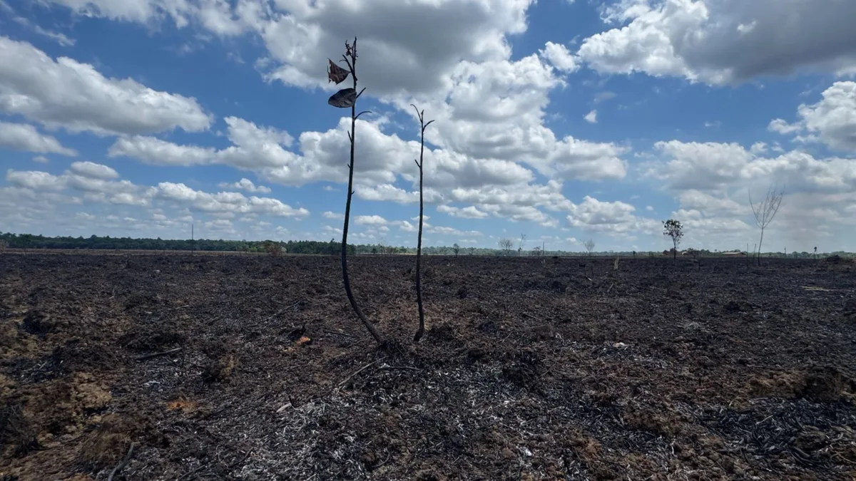Queimadas em Pracuúba alteram paisagem às margens de rodovia no AP; 18 pontos foram mapeados