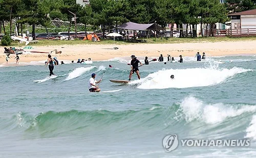 양양서핑 페스티벌 29∼30일 개최…서핑·공연·체험 한자리에