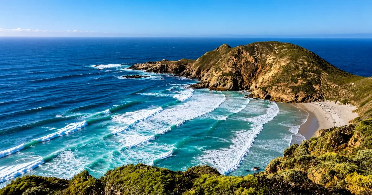 En 1977 eliminaron los últimos herbívoros introducidos en la isla de San Miguel, en California: de “terreno árido de arena” a un paisaje cubierto de vegetación nativa