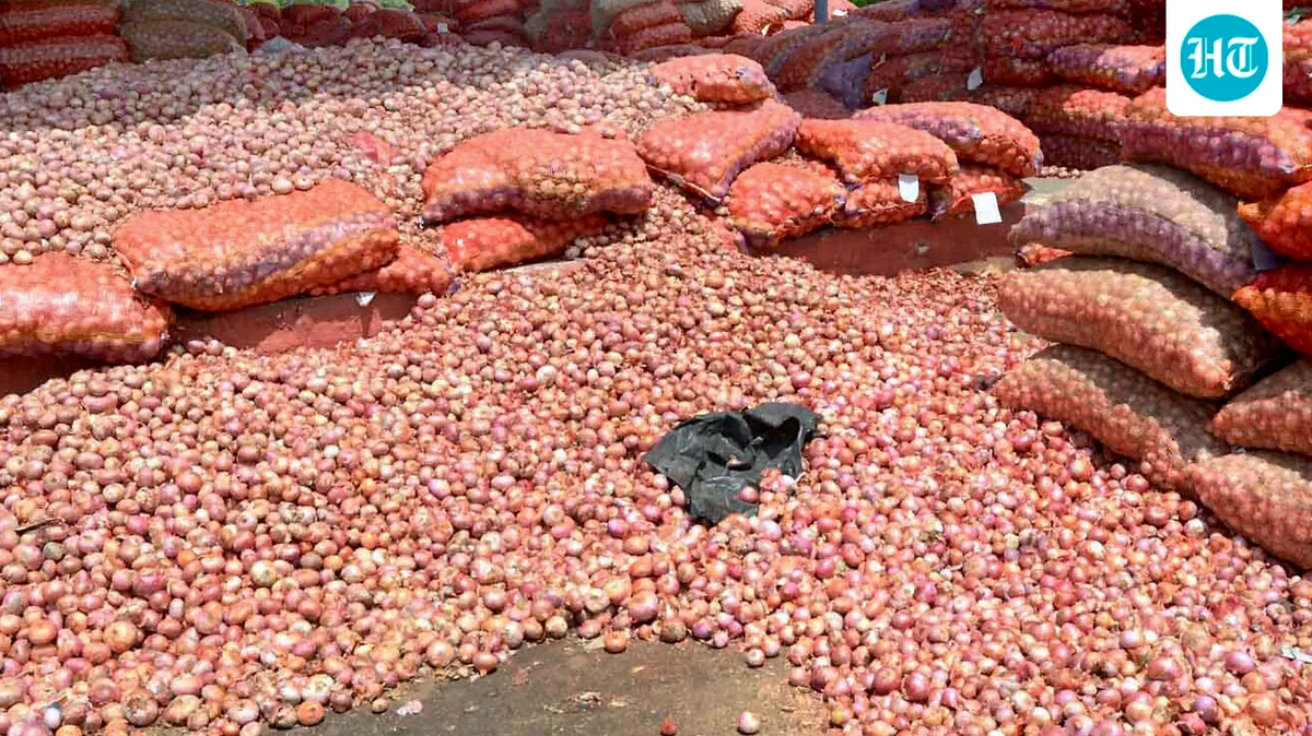 Govt hikes onion procurement price yet again