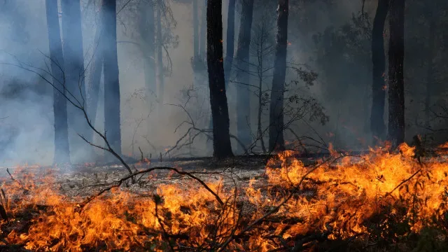 Incêndios: Quase todo o interior Norte e Centro em perigo máximo