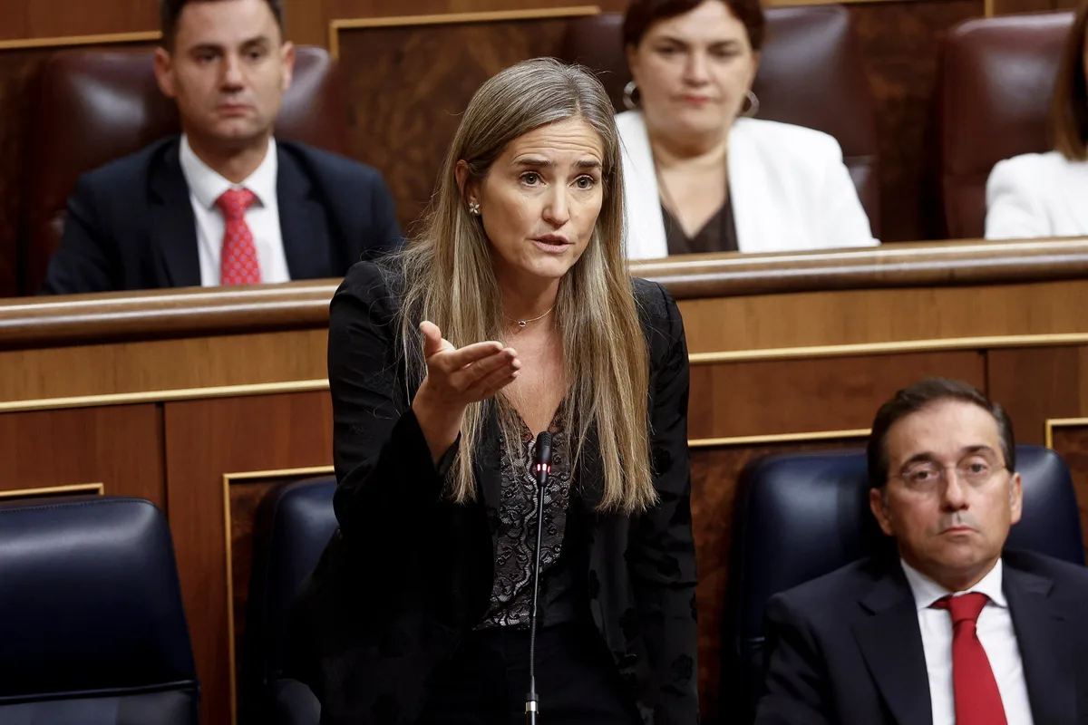 El plan para desarrollar las redes eléctricas en alta tensión incluye inversiones de 17.000 millones a 2030