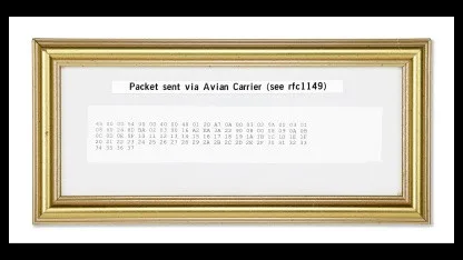 Per Brieftaube versendet: 25 Jahre altes Datenpaket wird versteigert