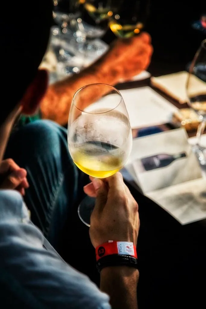 Lisboa junta mais de 300 produtores de vinho, 30 restaurantes e chefs internacionais em novembro