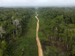 Au Brésil, la déforestation en Amazonie atteint son niveau le plus bas depuis près de 40 ans