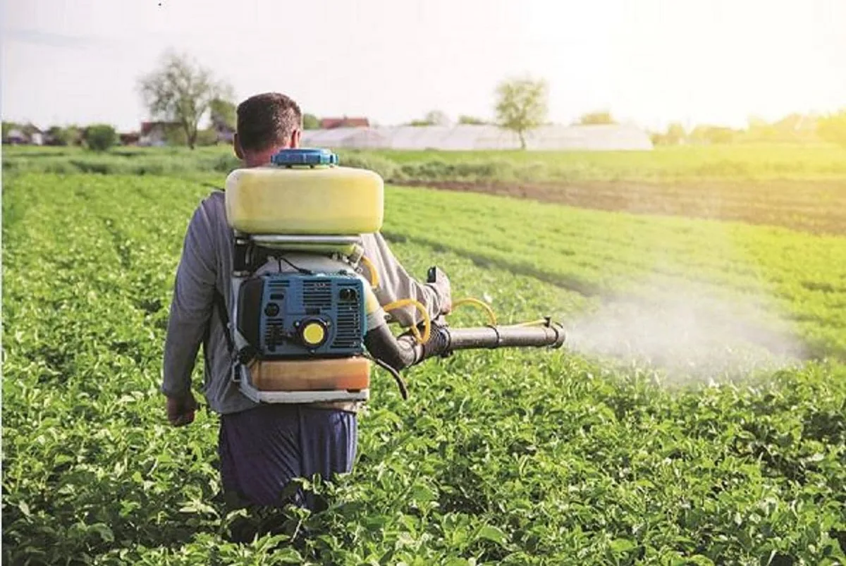 India's domestic fertiliser sales dip 10.33% in August on low rains