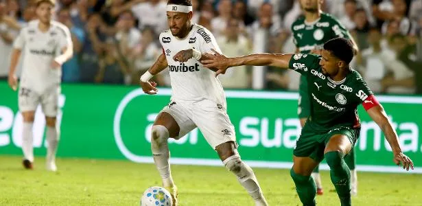 Palmeiras se sustenta na defesa e Neymar se machuca em péssimo gramado