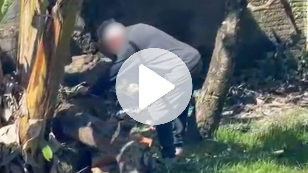 Homem é flagrado cortando pescoço de filhotes de cadela em Joinville e polícia investiga o caso