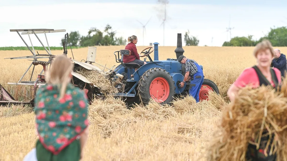 Tradition: Historisches Erntefest mit Dampfpflug und Erntekorso