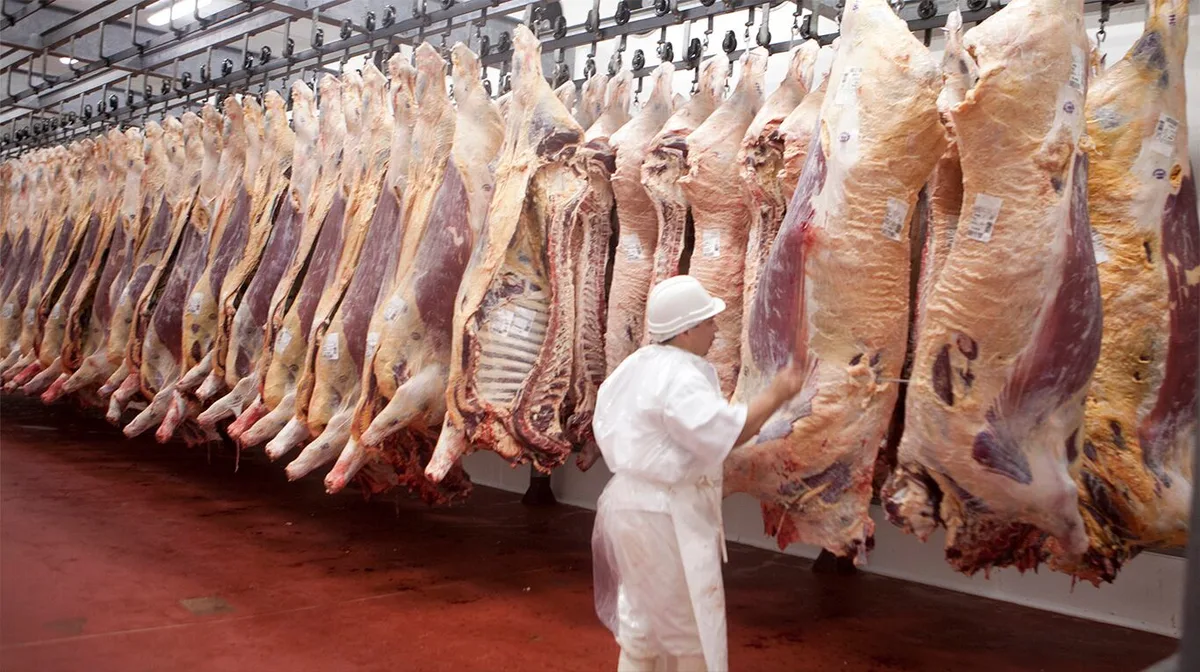 El ingreso de dólares por exportaciones de carne vacuna creció 11% en el último mes y acumula un alza del 40% en lo que va del año