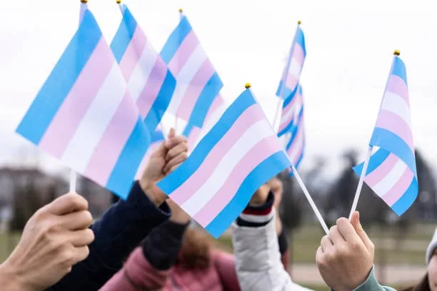 Ley contra transfemincidio avanza en Congreso de Yucatán: colectivas piden ampliar cobertura a hombres trans y personas no binaries