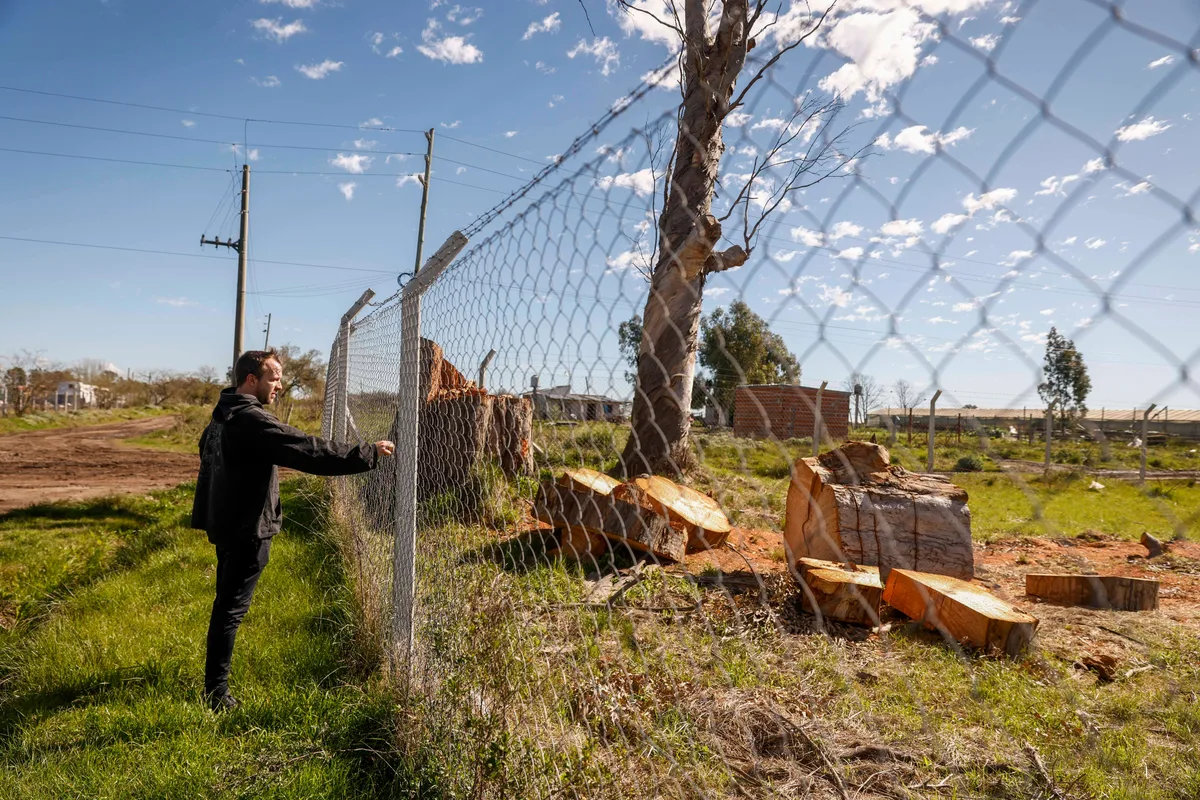 Entre arroyos y countries: vecinos intentan salvar el último pulmón rural del conurbano antes de que cambie para siempre