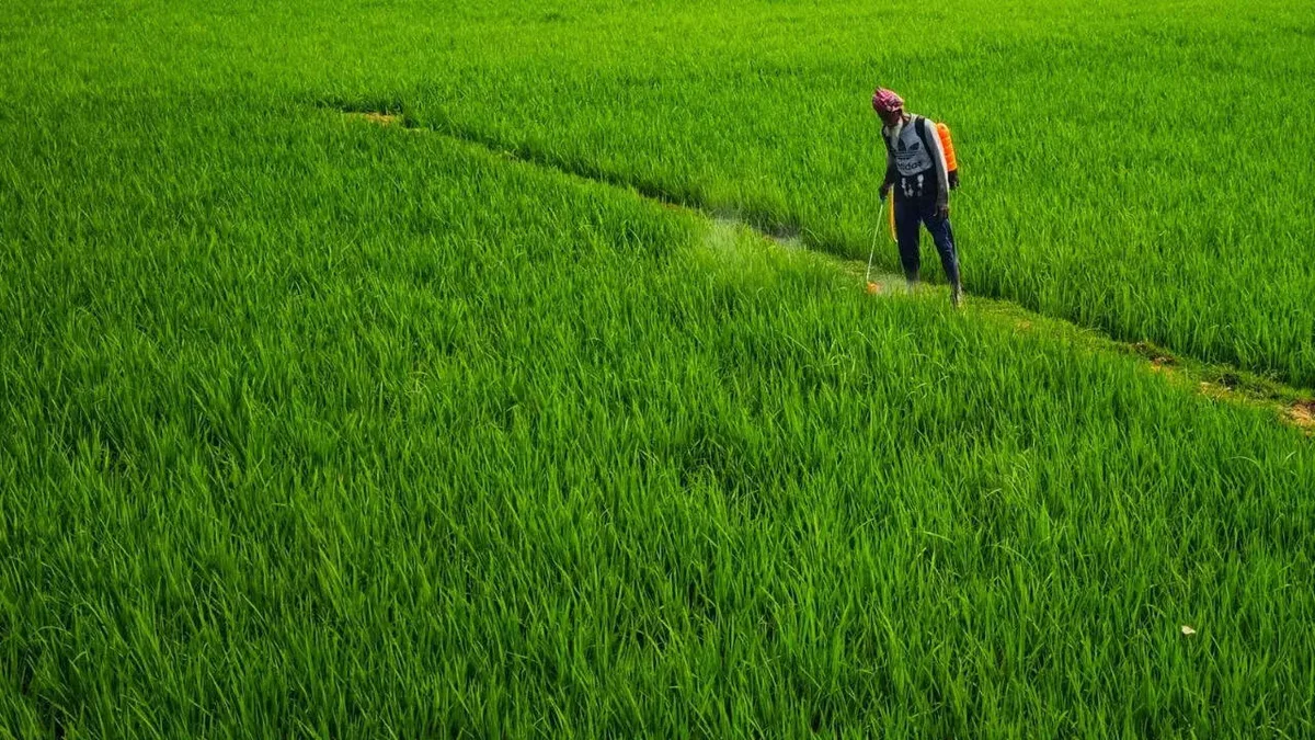 India’s agri-seed sector accounts for the largest share of receipts under benefit sharing regulations during April-Sept