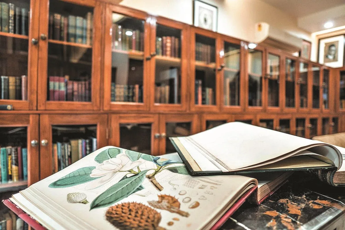 Echoes in ink: Inside the world of rare books, ancient maps and collectors