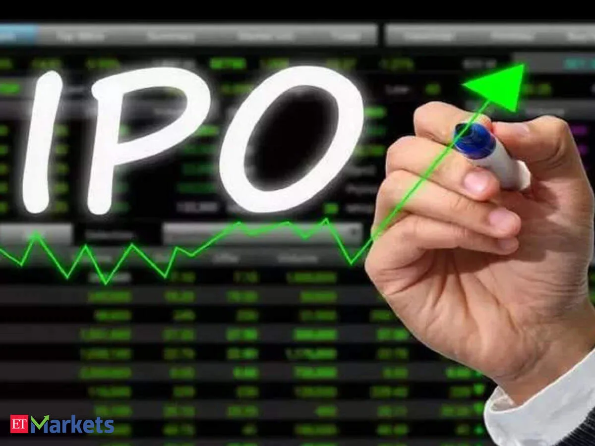 Can Bonfiglioli Transmissions IPO deliver long-term growth for high-risk investors?