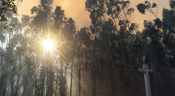 Fogo em Aveiro dado como dominado