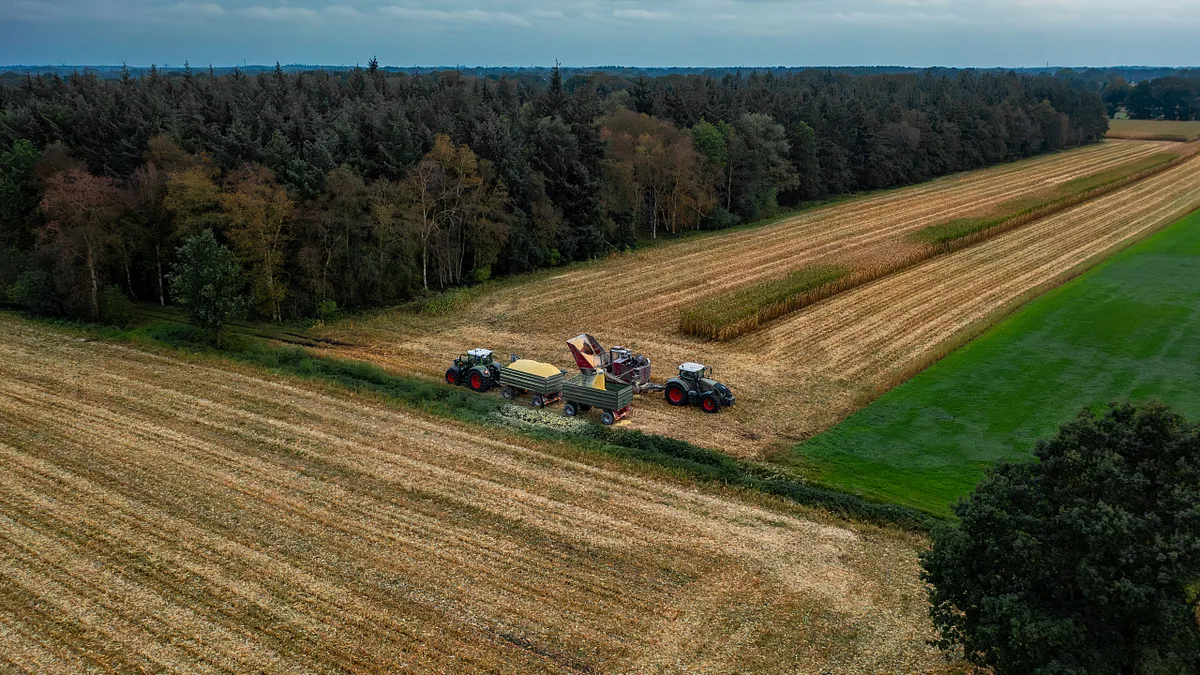 Wie steht es um die Landwirtschaft, Sachsen-Anhalt?