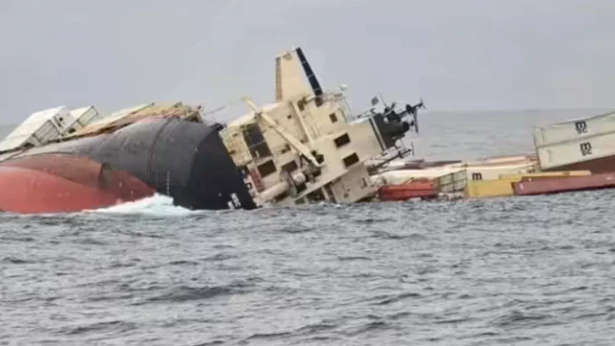 Day after China-bound cargo ship sank off Odisha, 22 of crew still missing