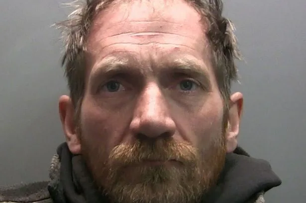 Second Sycamore Gap yob freed after serving less than half his sentence