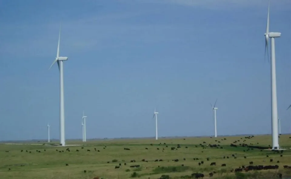 Produtor rural conta que metade da renda hoje vem das turbinas que aceitou instalar na própria terra