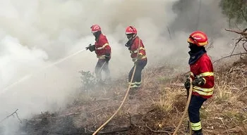 Incêndios em Torre de Moncorvo e Chaves mobilizam centenas de operacionais