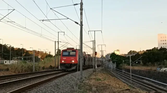 Lisboa: Comboio "apinhadíssimo" avaria e leva passageiros a ir pela linha