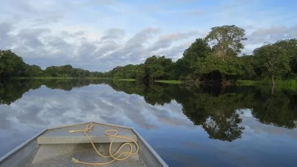 A natureza à beira da morte clama por solidariedade