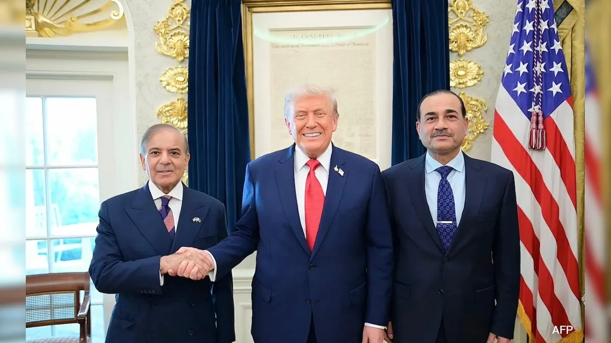 Opinion: Opinion | Pak's Drone Deal With A US Firm Is No Windfall. But India Must Still Be Worried